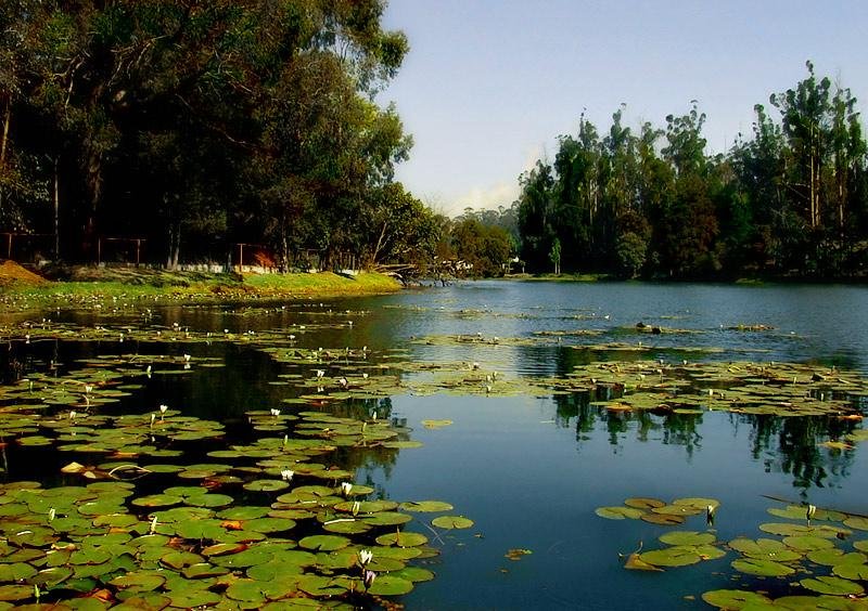 Veli-Lake-Trivandrum.jpg