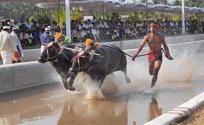 TH22_SOUTH_KAMBALA_