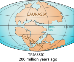 250px-Laurasia-Gondwana.svg.png