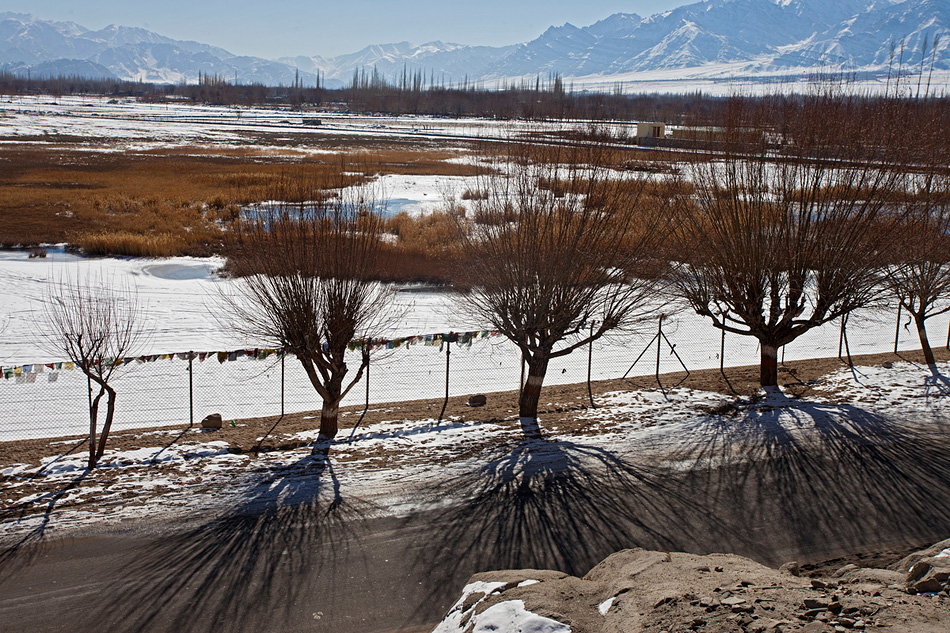 ladakh-winter-53.jpg