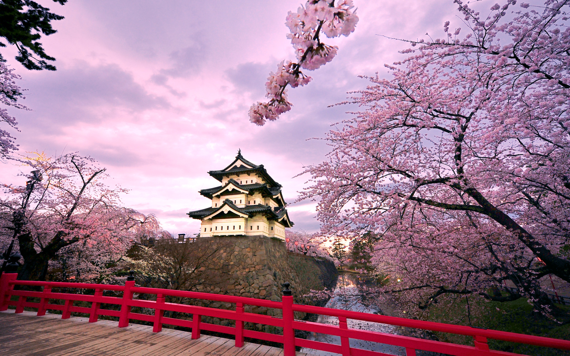 hirosaki-jo-sakura.jpg