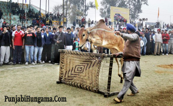 Kila+Raipur+Sports+Festival2+copy.png