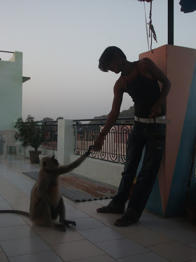 India+2010+052.jpg