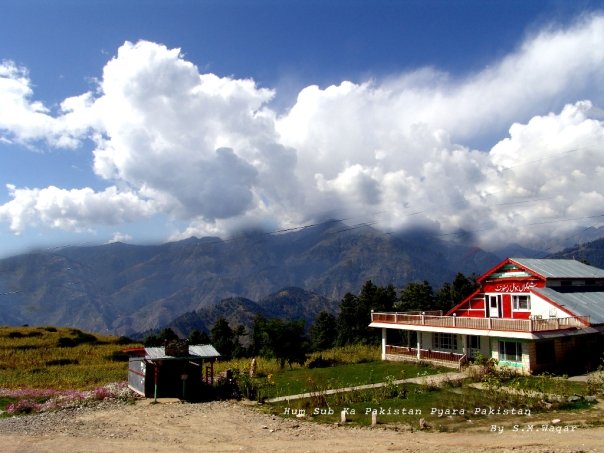 shogran5.jpg