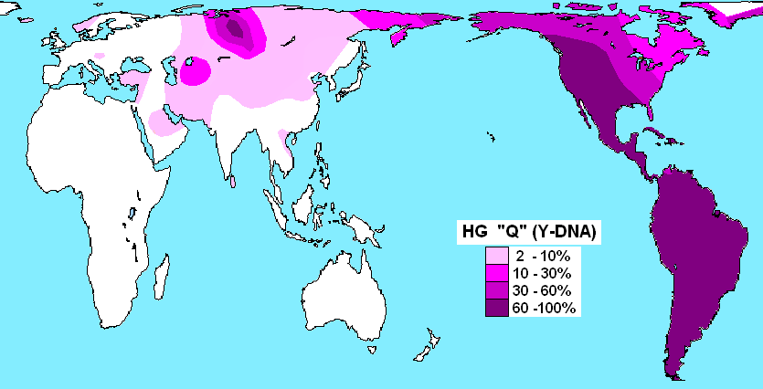 Haplogroup_Q_Y-DNA.png